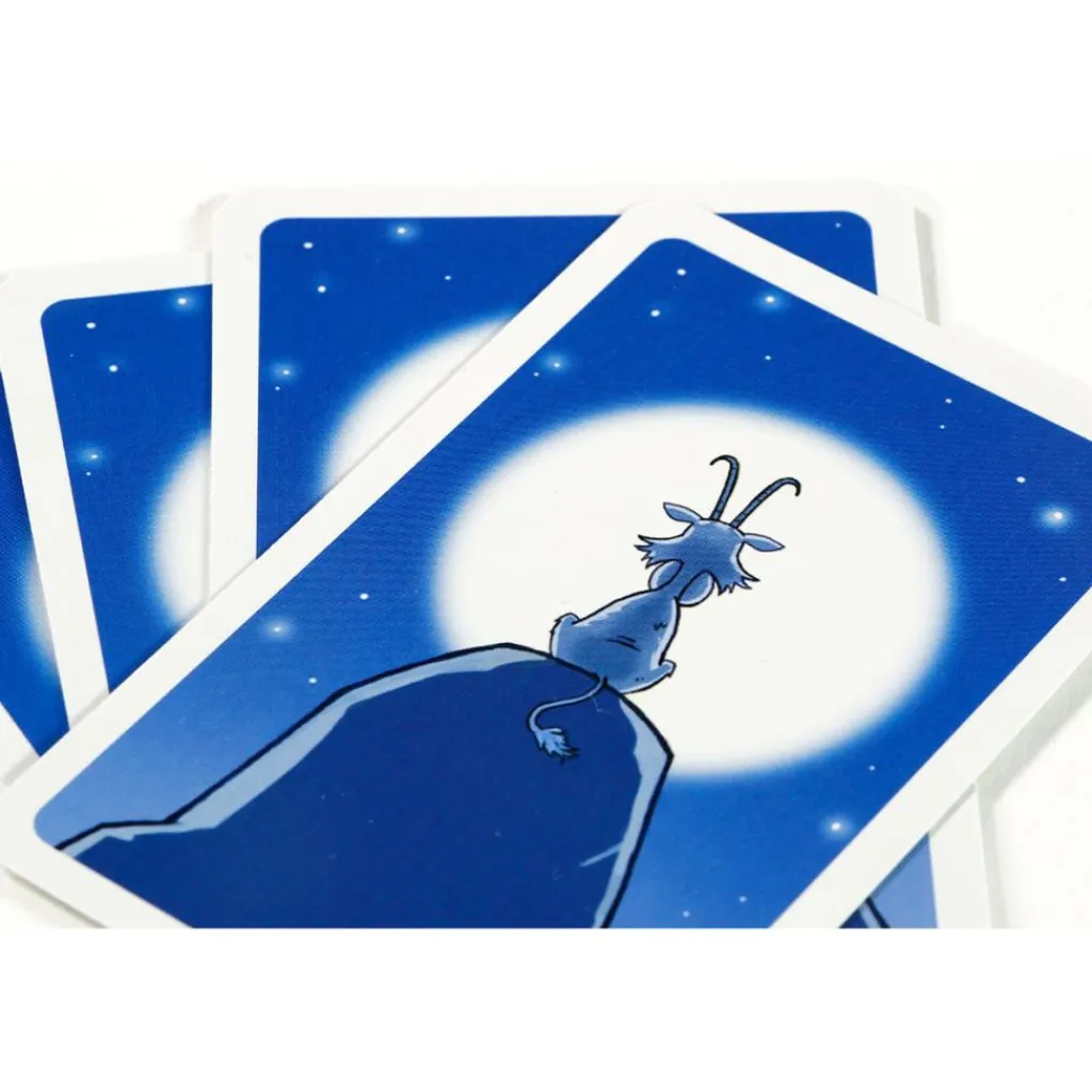 Bokken Schieten kaartspel*999 Games Sale