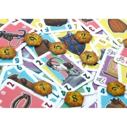  Schatten van de Phoenix kaartspel*999 Games