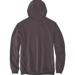 Logo Sleeve Graphic hoodie heren dark sepia*Carhartt Discount