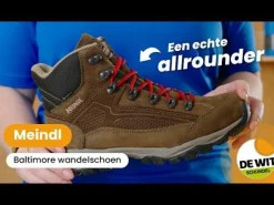 Baltimore GTX wandelschoenen dames bordeaux*Meindl Online