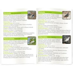  Expeditie Natuur Onze Vogels diashow*Moses. Verlag Discount