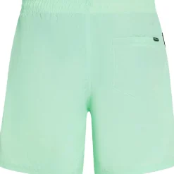 Vert 16 inch zwembroek heren mildrew mint*O'Neill Best