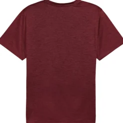 TAD ESSENTIALS shirt heren ruby shimmer heather*Puma