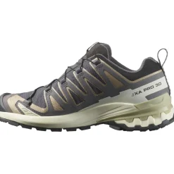 XA PRO 3D V9 GORE-TEX hardloopschoenen dames nine iron oxford tan alfalfa*Salomon Sale
