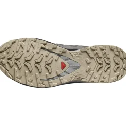 XA PRO 3D V9 GORE-TEX hardloopschoenen dames plum kitten black gull*Salomon Discount