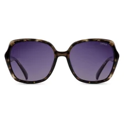 Montara zonnebril smoke black grey tortoise*Sinner New