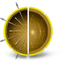 Triniti tennisballen 4-pack*Wilson